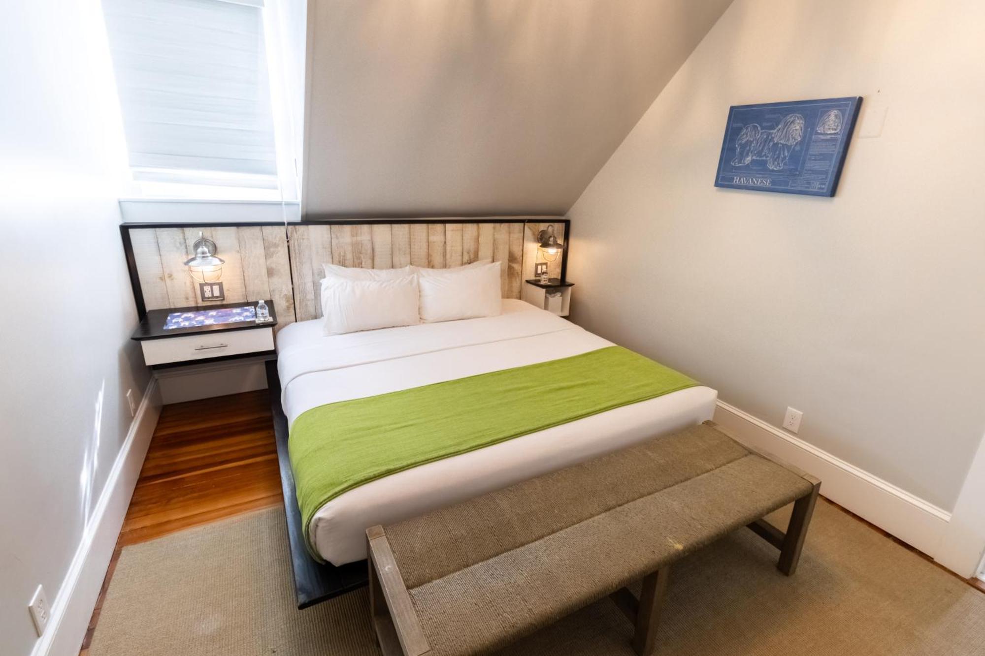 ニューポート Paws On Pelham (Adults Only) Bed & Breakfast エクステリア 写真