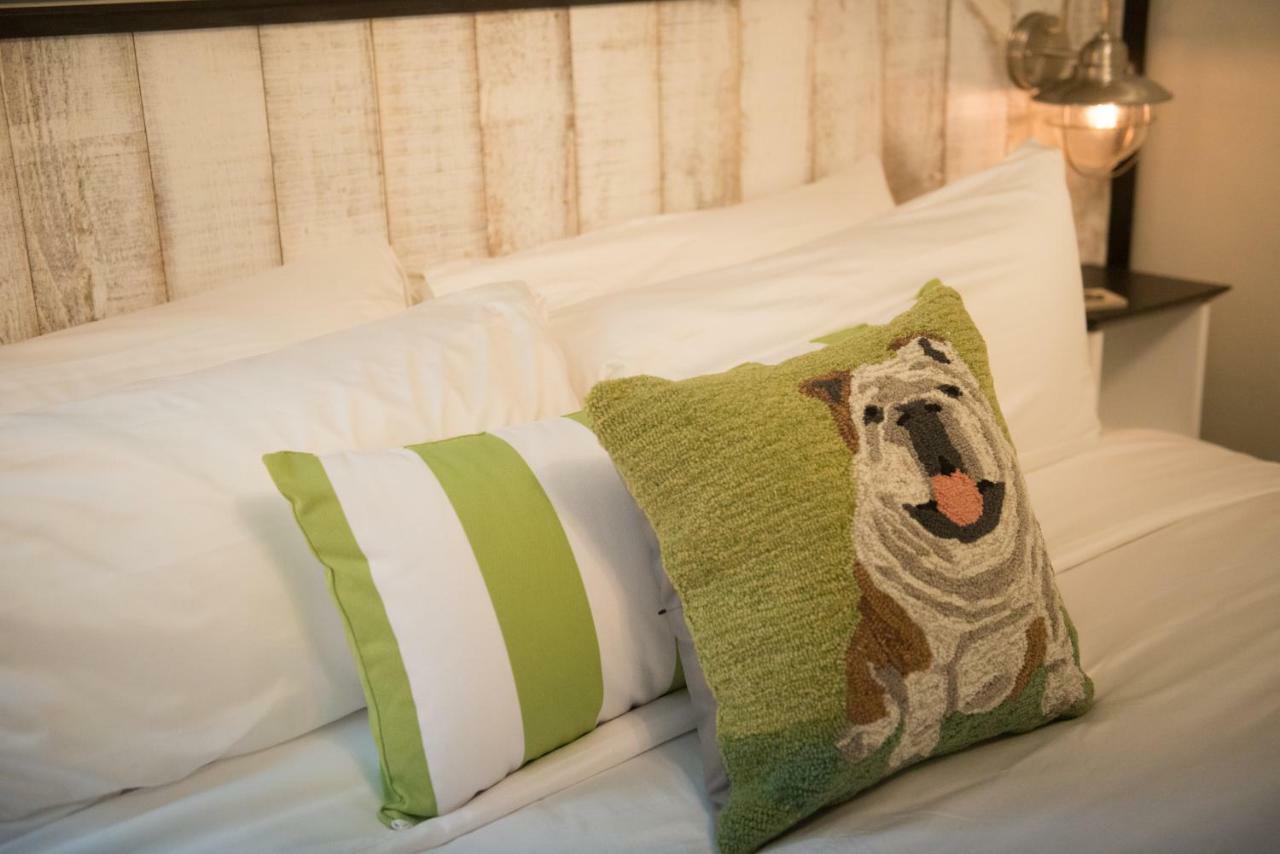 ニューポート Paws On Pelham (Adults Only) Bed & Breakfast エクステリア 写真
