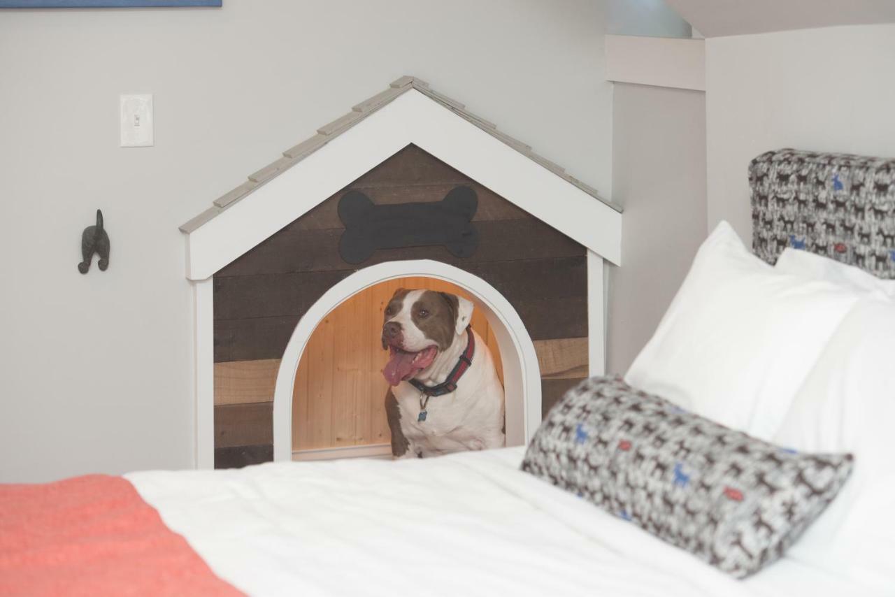 ニューポート Paws On Pelham (Adults Only) Bed & Breakfast エクステリア 写真